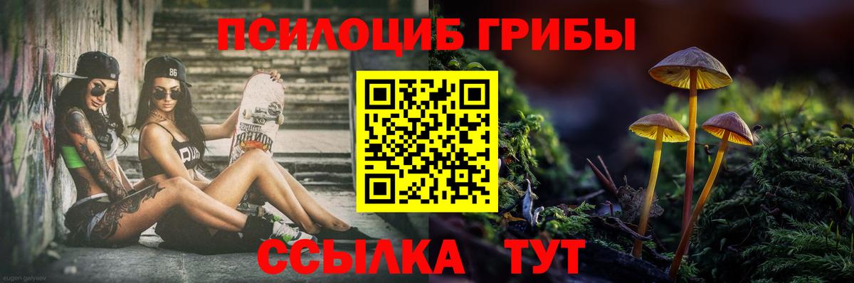 Галлюциногенные грибы Cubensis Новотроицк