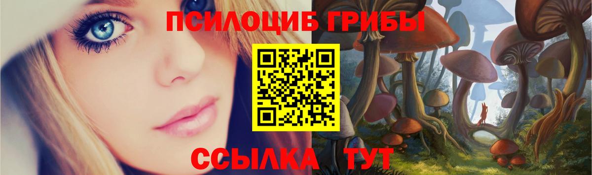 Галлюциногенные грибы мицелий  Псилоцибиновые грибы Psilocybine cubensis  Вход с VPN  Новотроицк 